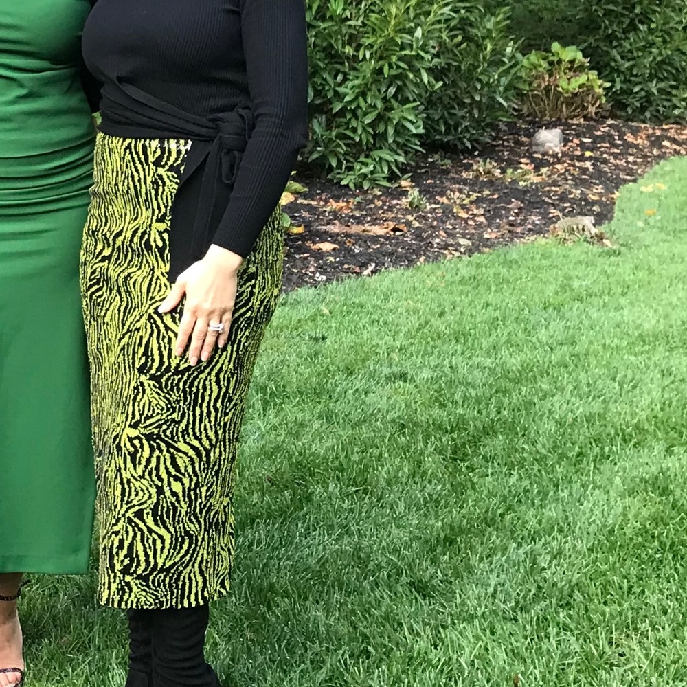 Zara limited edition skirt!